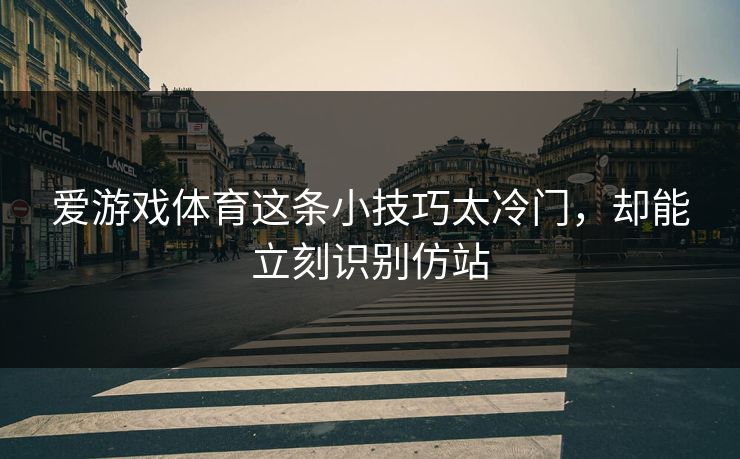 爱游戏体育这条小技巧太冷门，却能立刻识别仿站